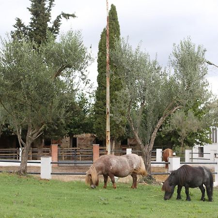 Masia Can Rovira - Esc1852 San Lorenzo de Hortóns Εξωτερικό φωτογραφία