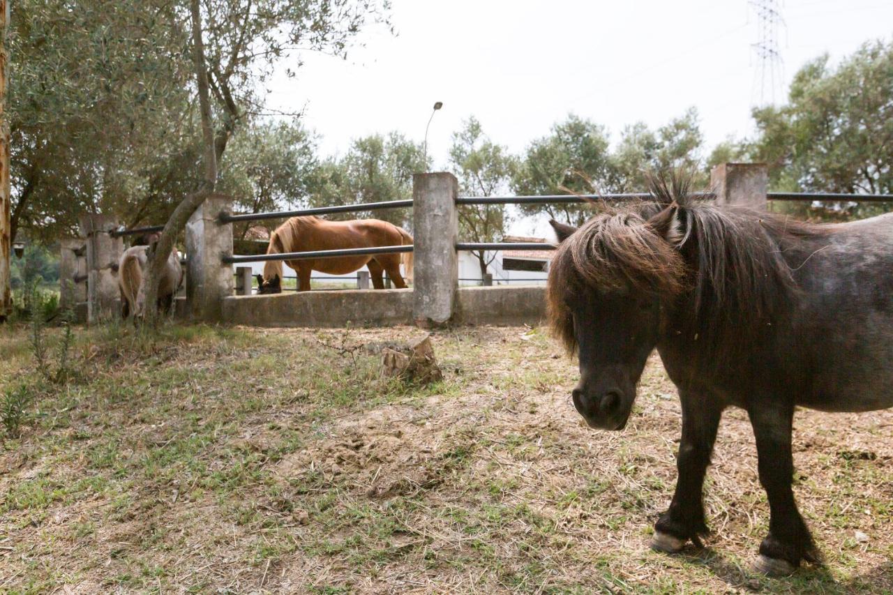 Masia Can Rovira - Esc1852 San Lorenzo de Hortóns Εξωτερικό φωτογραφία