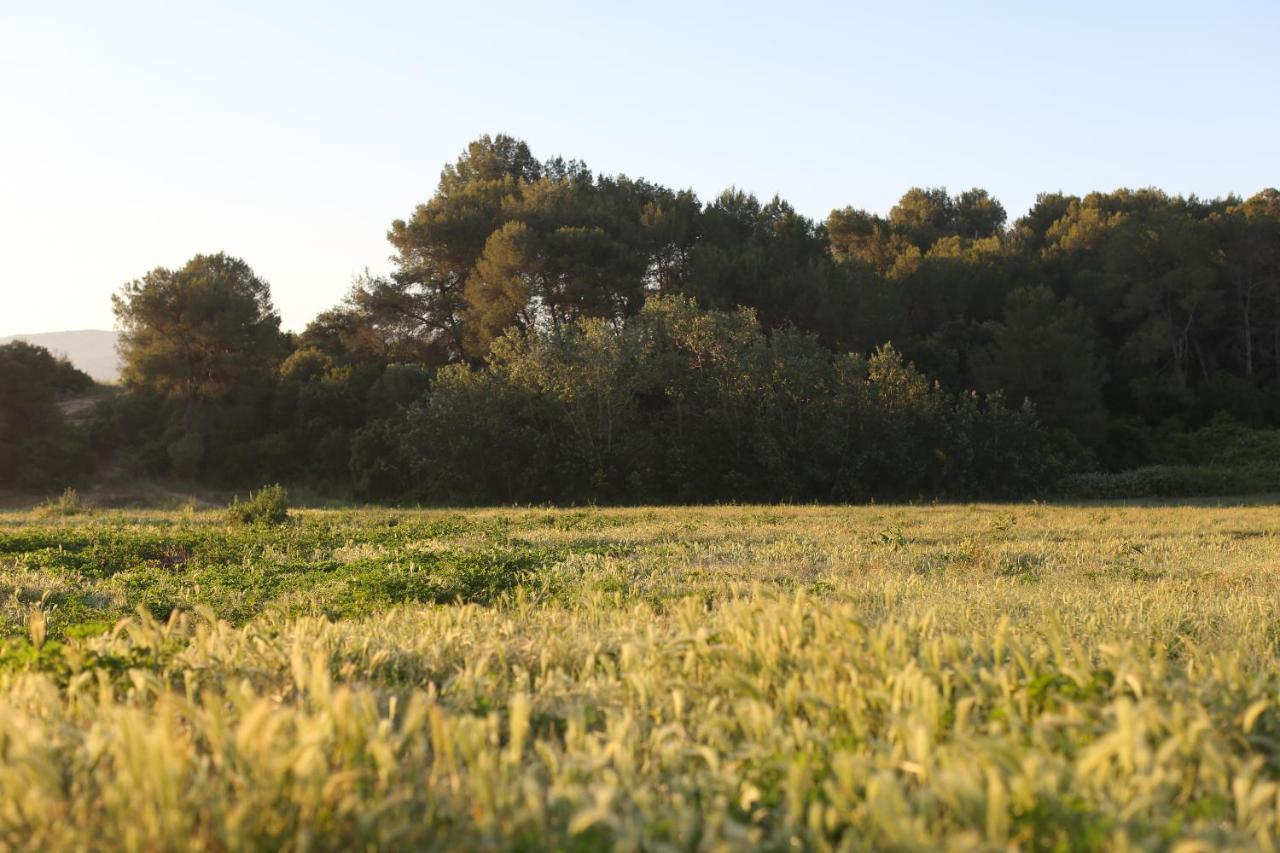 Masia Can Rovira - Esc1852 San Lorenzo de Hortóns Εξωτερικό φωτογραφία