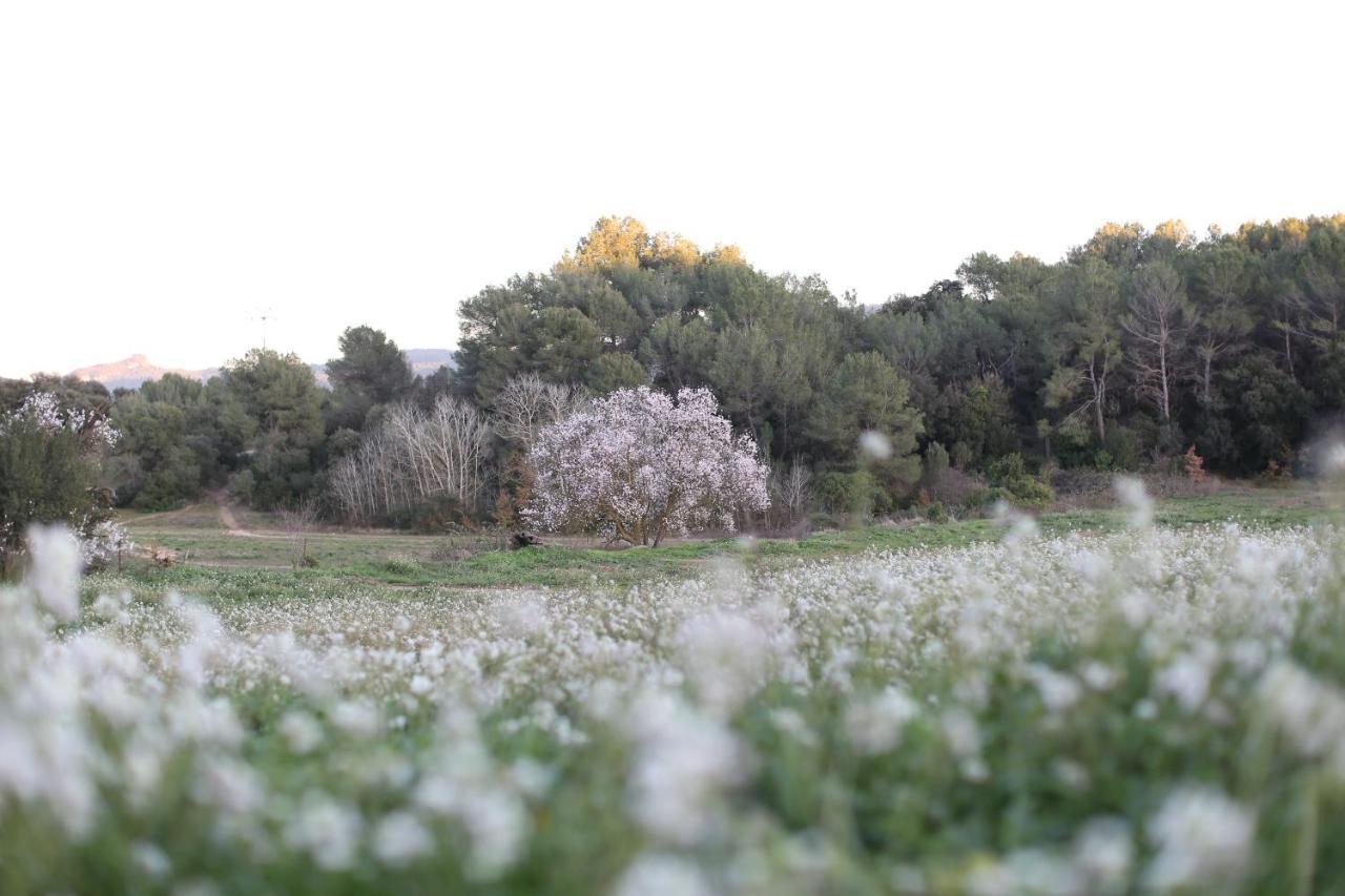 Masia Can Rovira - Esc1852 San Lorenzo de Hortóns Εξωτερικό φωτογραφία