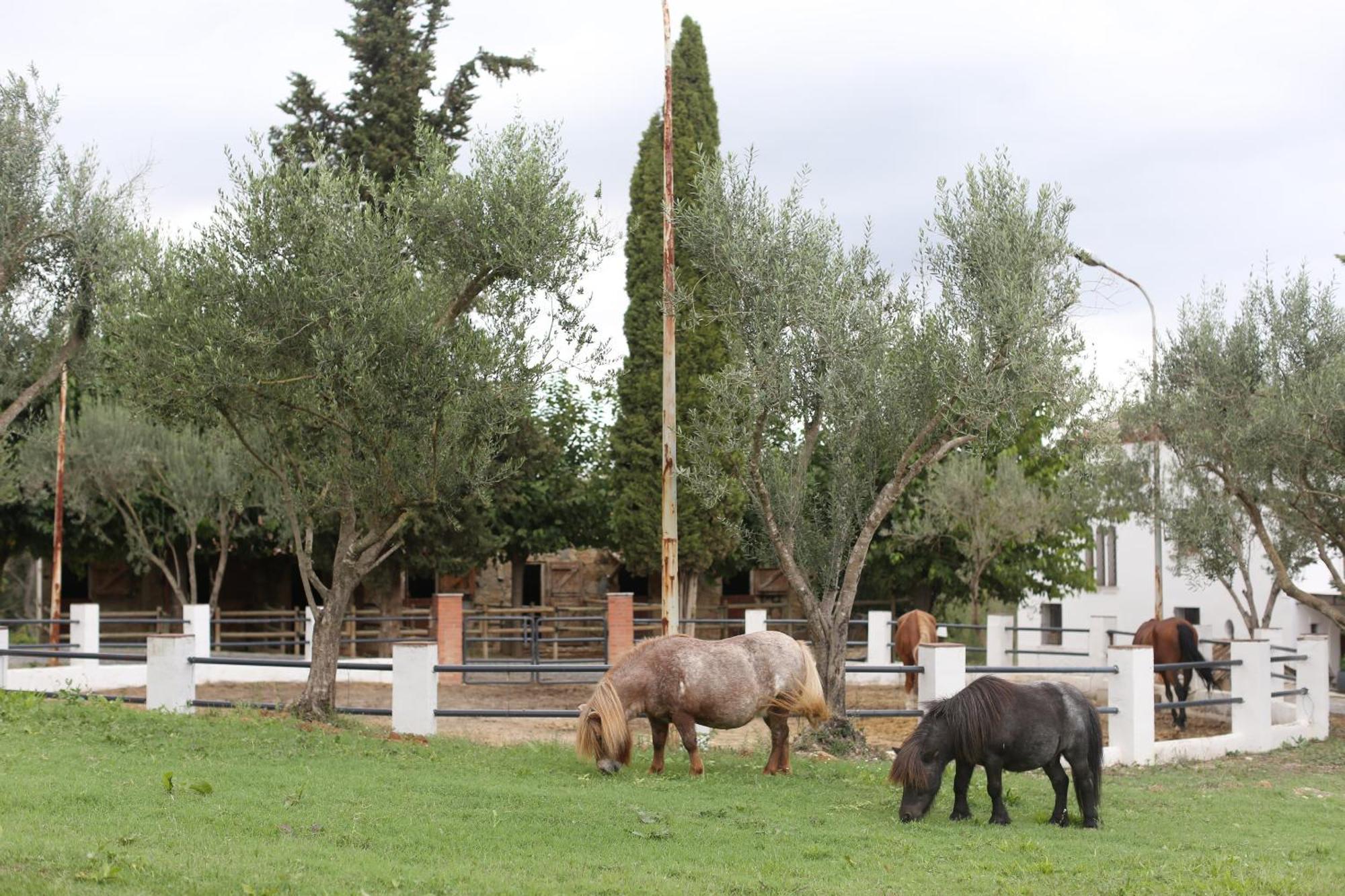 Masia Can Rovira - Esc1852 San Lorenzo de Hortóns Εξωτερικό φωτογραφία